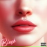 Gavo 011, Vugh
