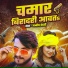 Manish Bedardi