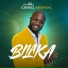 Lionel Shonda
