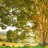 Relaxing Music, Spa Music Relaxation, Deep Sleep
