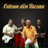 Odeon din Buzau
