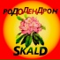 Skald