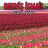 Derviş İsmail
