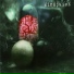 mindjuice