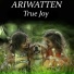 Ariwatten