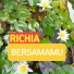 Richia