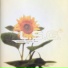 L.S.G., Oliver Lieb