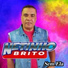 netinho brito