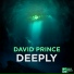 David Prince DJ