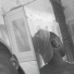 Liry