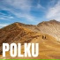 Polku feat. Cheick Cissokho