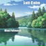 Lofi Calm