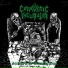 Cadaveric Incubator