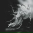 Monami