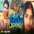 Anshu Aryan