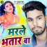 Pushkal Singh