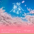 龙千里, 陈彦羽, 董奕成, 时尚