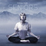 Healing Yoga Meditation Music Consort