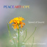 PEACEARTHOPE