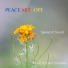 PEACEARTHOPE