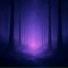 Elaris, Музыка для бани
