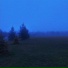 pale horizon, despired