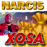 Narcis de la Barbulesti