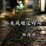 杨丹丹