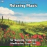 Meditation Music, Relaxing Spa Music, Yoga