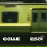 Collie
