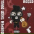 Ronzo