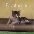 fazathecat