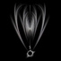 Raum Kingdom