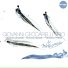 Giovanni Ceccarelli Trio