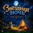 Звёздная ночь