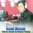 Asad Wesal