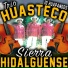 Trio Huasteco Sierra Hidalguense