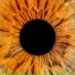 NADIR