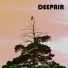 DEEPAIR