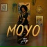 Zily