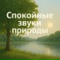Mikrobro, Шум Дождя и Звук Грозы