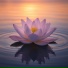Velune, Relaxing Zen Music Therapy