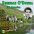 Brendan O'Dowda, Norrie Paramor Orchestra