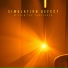 Simulation Defect