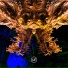 Samer Soltan