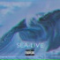 Sea-Auto