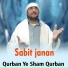 Sabit janan