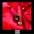 044 Rose, Dirty Chains