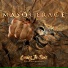 Masquerage
