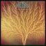 Van Der Graaf Generator